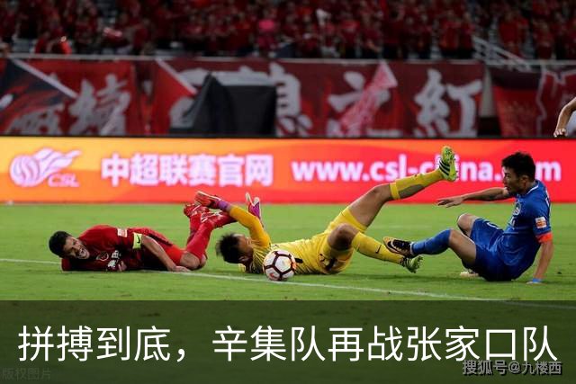 拼搏到底，辛集队再战张家口队