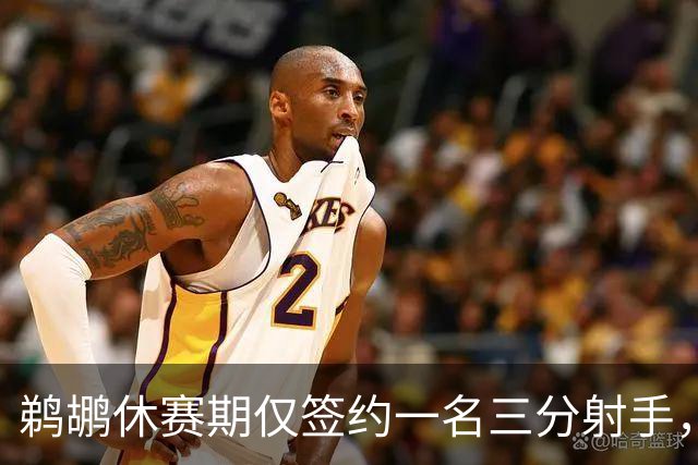 鹈鹕休赛期仅签约一名三分射手，未来走向引人关注